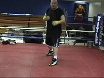 McCann - Art of Boxing Level 1